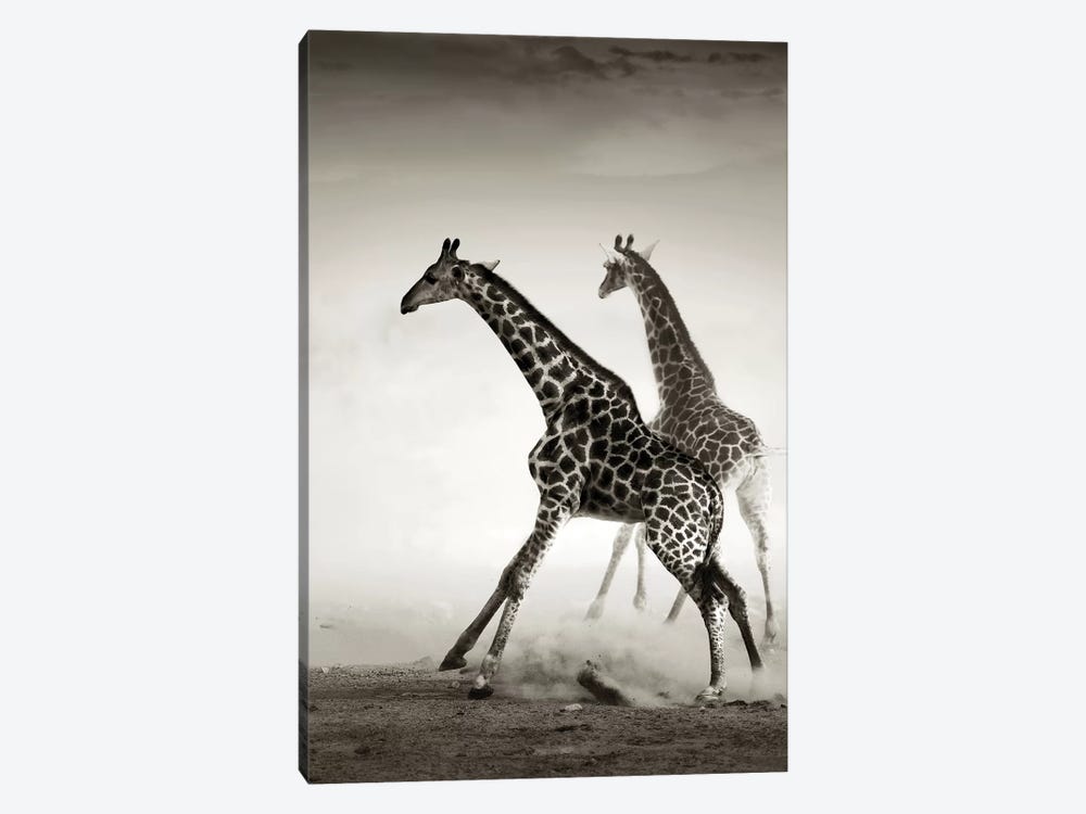 Giraffes Fleeing by Johan Swanepoel 1-piece Canvas Wall Art