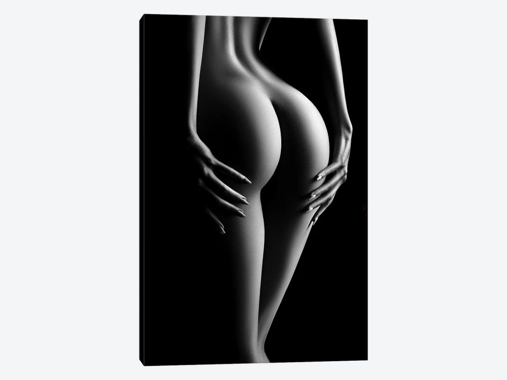 Sensual Nude Woman XI by Johan Swanepoel 1-piece Canvas Artwork