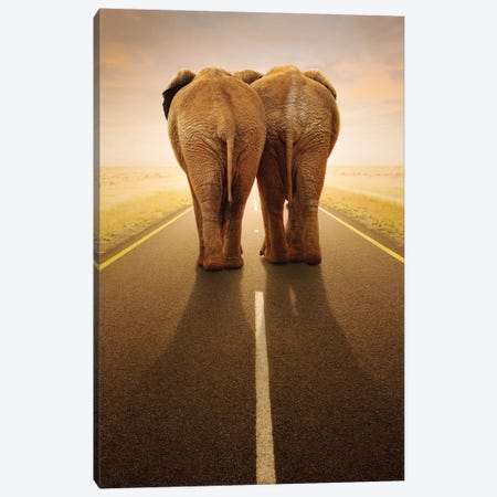 Going Away Together Canvas Print #JSW24} by Johan Swanepoel Canvas Print