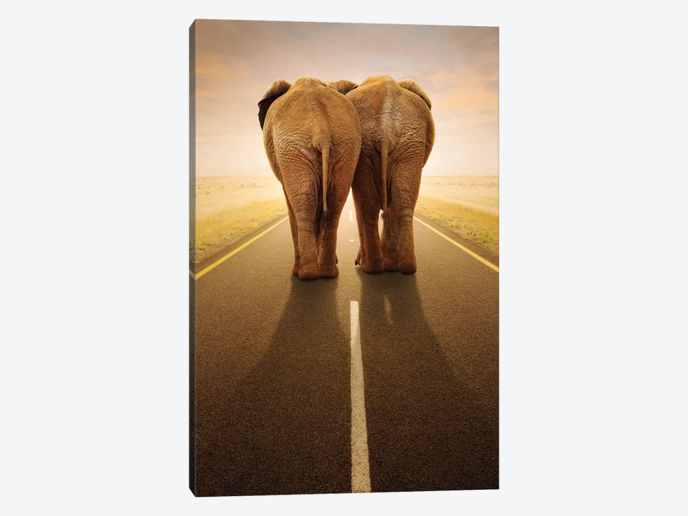Going Away Together by Johan Swanepoel 1-piece Canvas Print