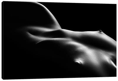 Nude Woman Bodyscape XCV Canvas Art Print - Johan Swanepoel