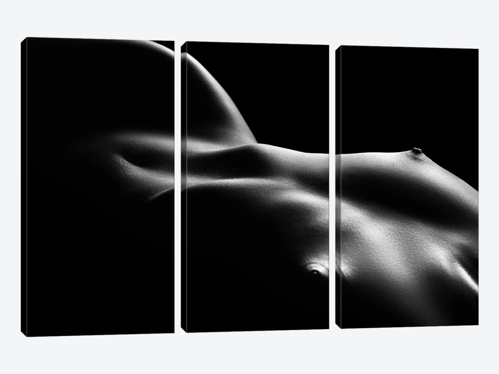 Nude Woman Bodyscape XCV by Johan Swanepoel 3-piece Canvas Print