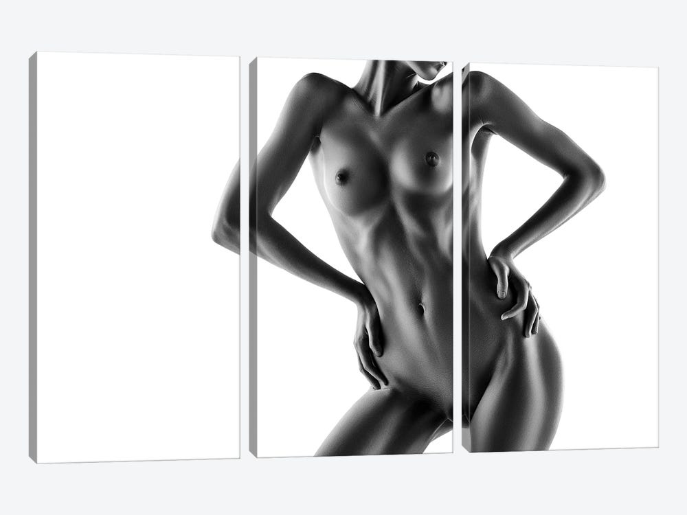 Nude Bodyscape On White V by Johan Swanepoel 3-piece Canvas Print