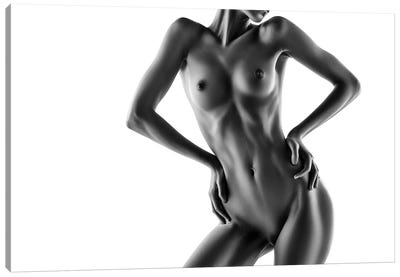 Nude Bodyscape On White V Canvas Art Print - Johan Swanepoel