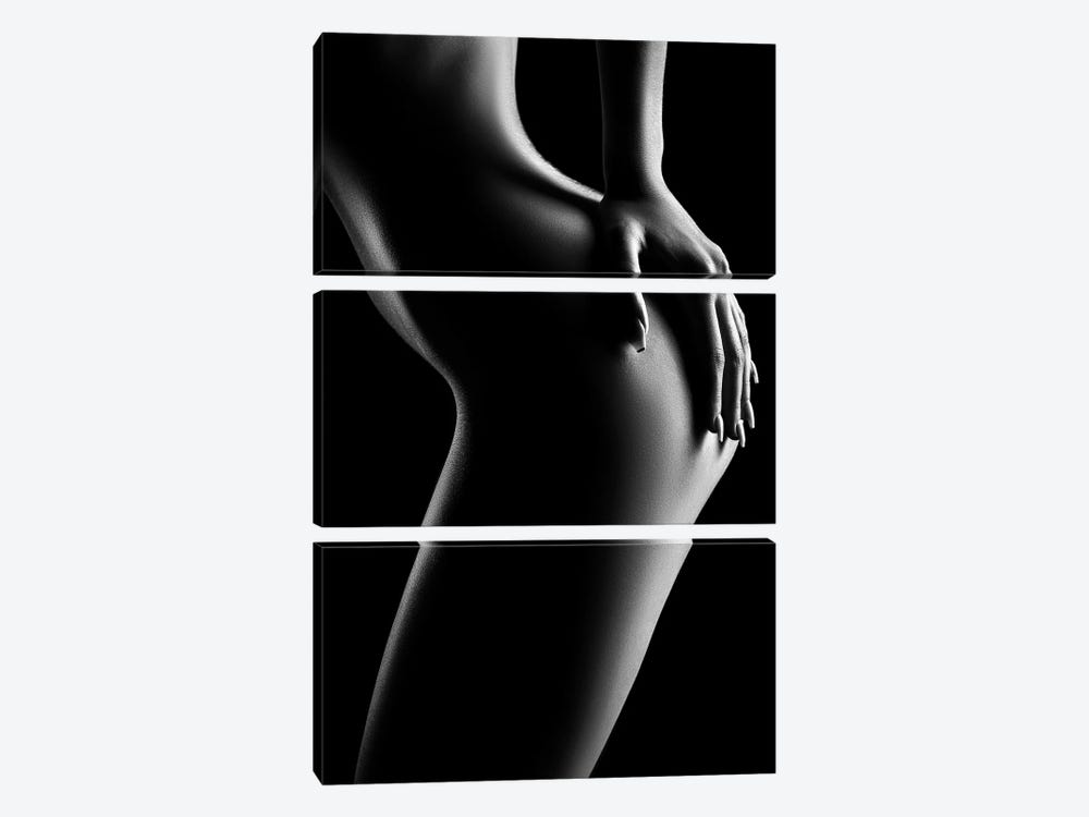 Sensual Nude Woman XX by Johan Swanepoel 3-piece Canvas Art