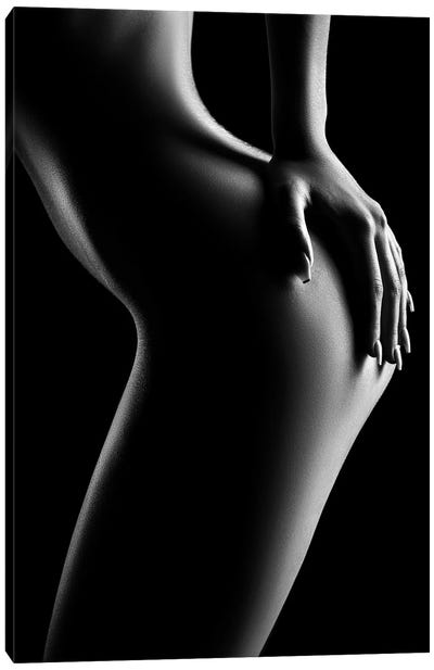 Sensual Nude Woman XX Canvas Art Print - Johan Swanepoel