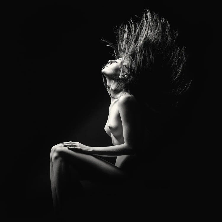 Fine Art Nude Toned I