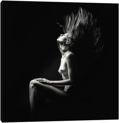 Fine Art Nude Toned I Canvas Art Print - Johan Swanepoel