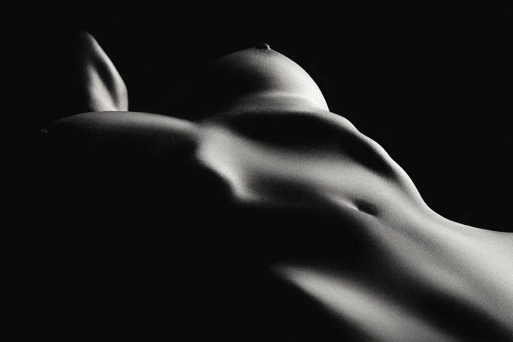 Fine Art Nude Toned III