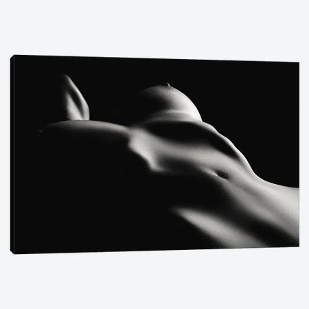 Fine Art Nude Toned III Canvas Print #JSW269} by Johan Swanepoel Art Print
