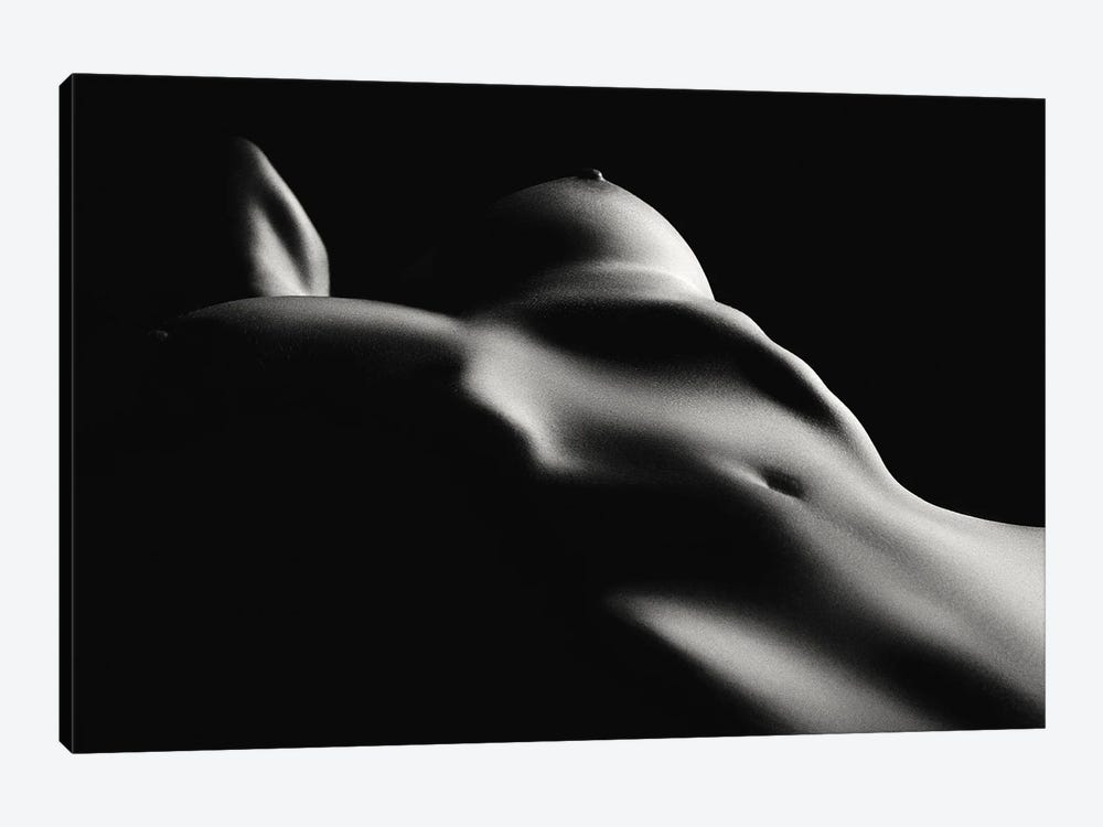 Fine Art Nude Toned III by Johan Swanepoel 1-piece Canvas Artwork