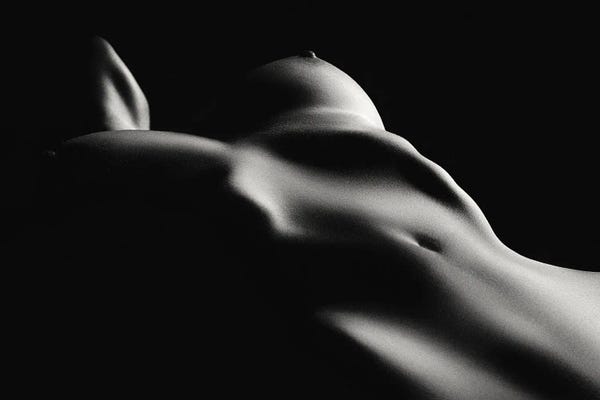 Figurative Photography: Fine Art Nude Toned III by Johan Swanepoel