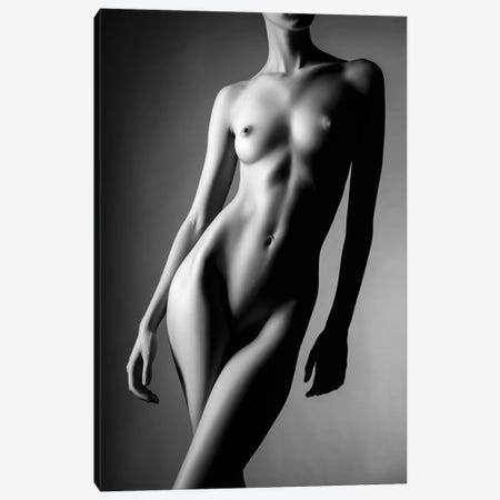 Sensual Nude Woman XXII Canvas Print #JSW270} by Johan Swanepoel Canvas Artwork