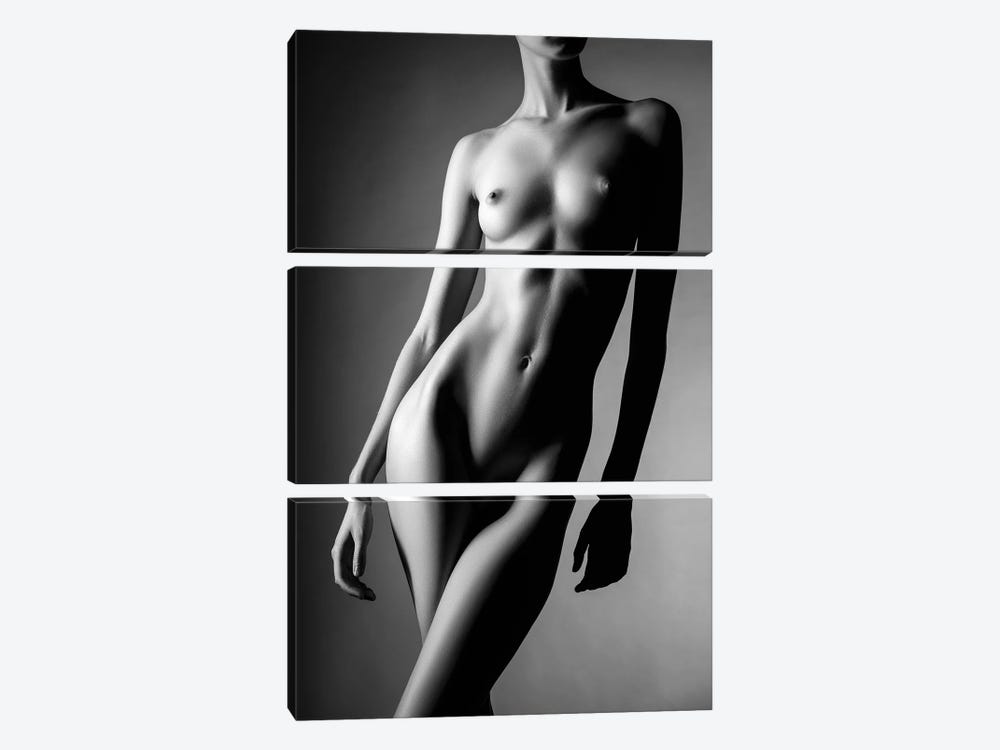 Sensual Nude Woman XXII by Johan Swanepoel 3-piece Canvas Artwork
