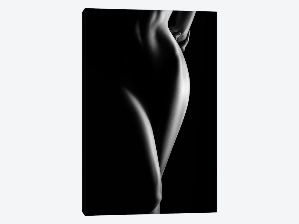 Nude Woman Bodyscape XCVI by Johan Swanepoel 1-piece Canvas Artwork