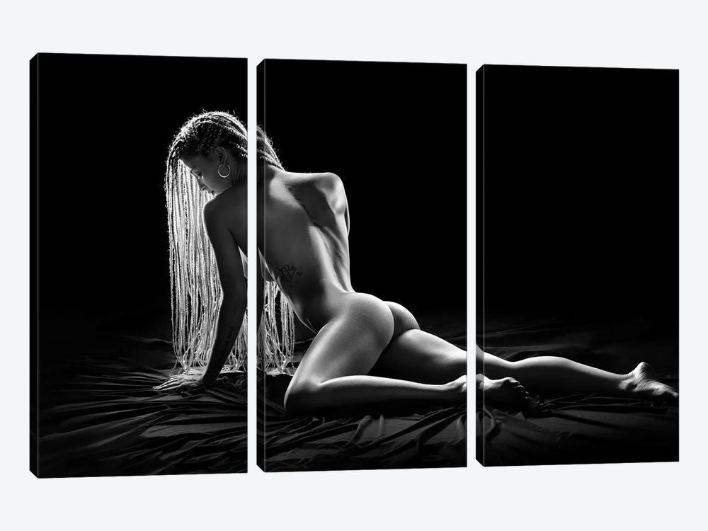 Sensual Nude Woman XXIII by Johan Swanepoel 3-piece Canvas Art Print