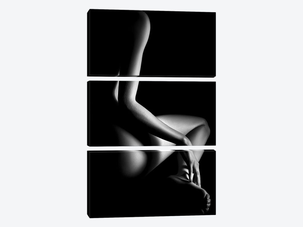 Nude Woman Bodyscape XCVII by Johan Swanepoel 3-piece Canvas Art