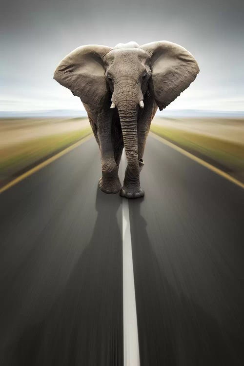 Heavy Duty Transport by Johan Swanepoel wall art