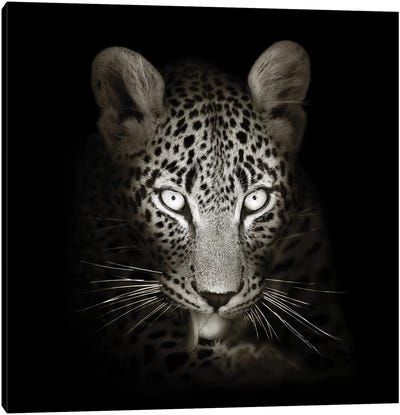 Leopard Portrait In The Dark Canvas Art Print - Johan Swanepoel