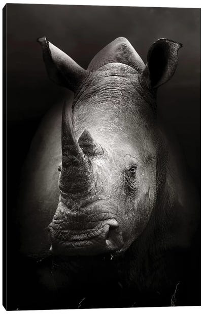 Rhinoceros Portrait Canvas Art Print - Rhinoceros Art