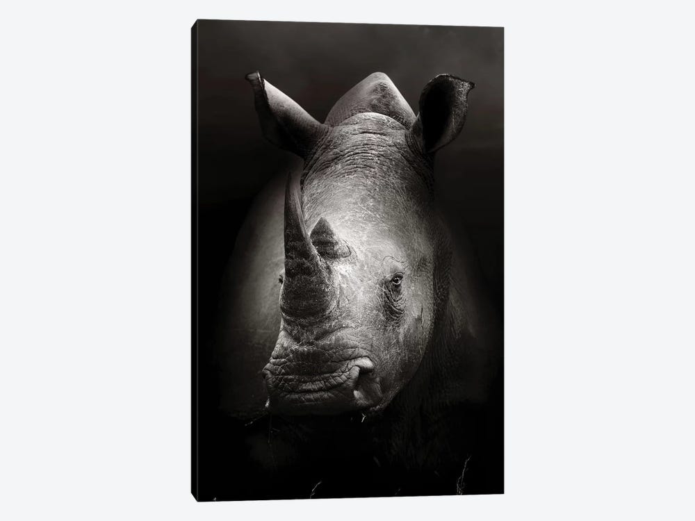 Rhinoceros Portrait by Johan Swanepoel 1-piece Canvas Art