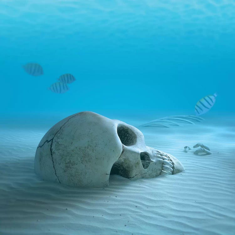 Skull On Sandy Ocean Bottom With Small Fish Cleaning Some Bones