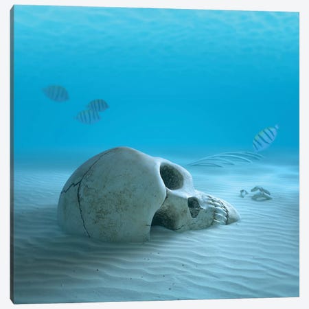 Skull On Sandy Ocean Bottom With Small Fish Cleaning Some Bones Canvas Print #JSW39} by Johan Swanepoel Art Print