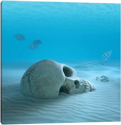 Skull On Sandy Ocean Bottom With Small Fish Cleaning Some Bones Canvas Art Print - Johan Swanepoel
