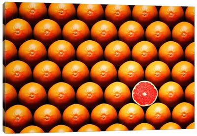 Sliced Grapefruit Between Group Canvas Art Print - Food & Drink Still Life