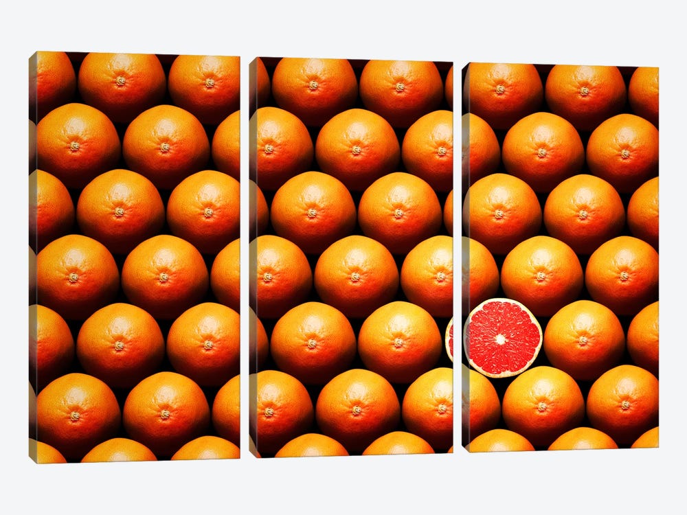 Sliced Grapefruit Between Group by Johan Swanepoel 3-piece Art Print
