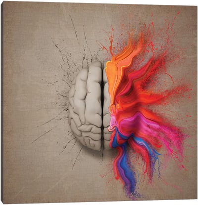 The Creative Brain Canvas Art Print - Educational Art