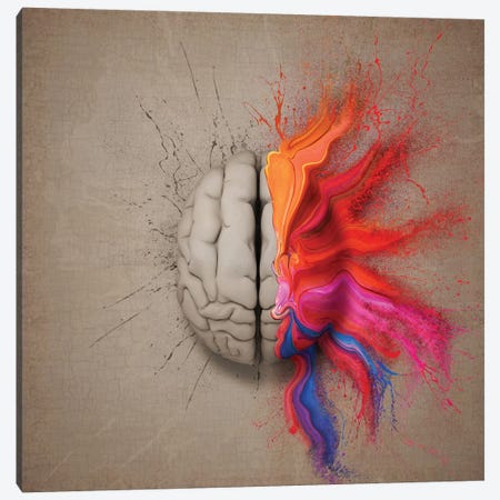 The Creative Brain Canvas Print #JSW42} by Johan Swanepoel Canvas Wall Art