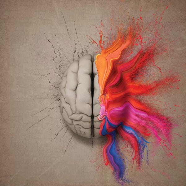 Johan Swanepoel: The Creative Brain by Johan Swanepoel
