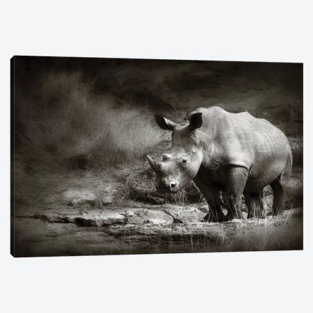 White Rhinoceros Canvas Print #JSW45} by Johan Swanepoel Canvas Art Print