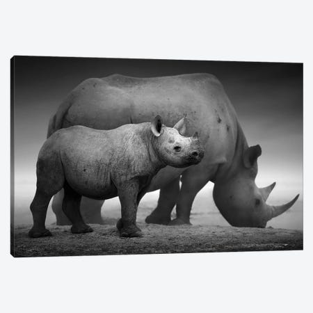Black Rhino Calf And Cow Canvas Print #JSW4} by Johan Swanepoel Art Print