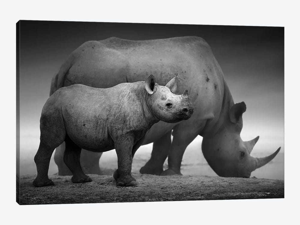 Black Rhino Calf And Cow by Johan Swanepoel 1-piece Canvas Artwork