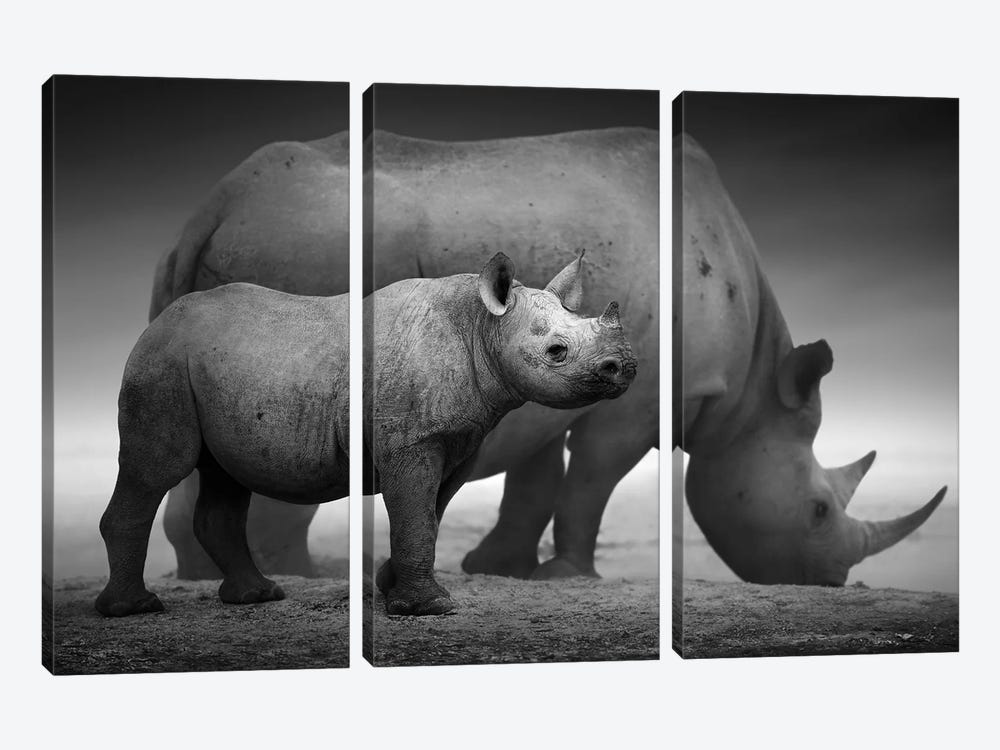 Black Rhino Calf And Cow by Johan Swanepoel 3-piece Canvas Art