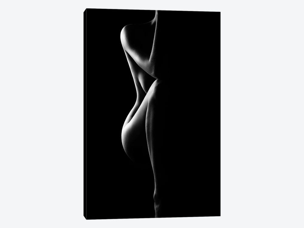 Silhouette Of Nude Woman by Johan Swanepoel 1-piece Canvas Wall Art