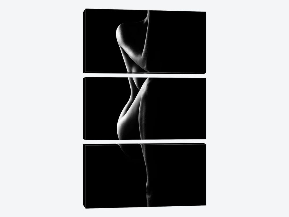 Silhouette Of Nude Woman by Johan Swanepoel 3-piece Canvas Wall Art