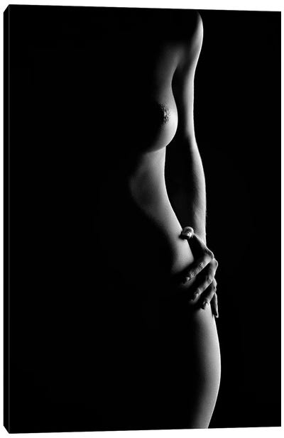 Bodyscape Nude Woman Standing Canvas Art Print - In the Shadows