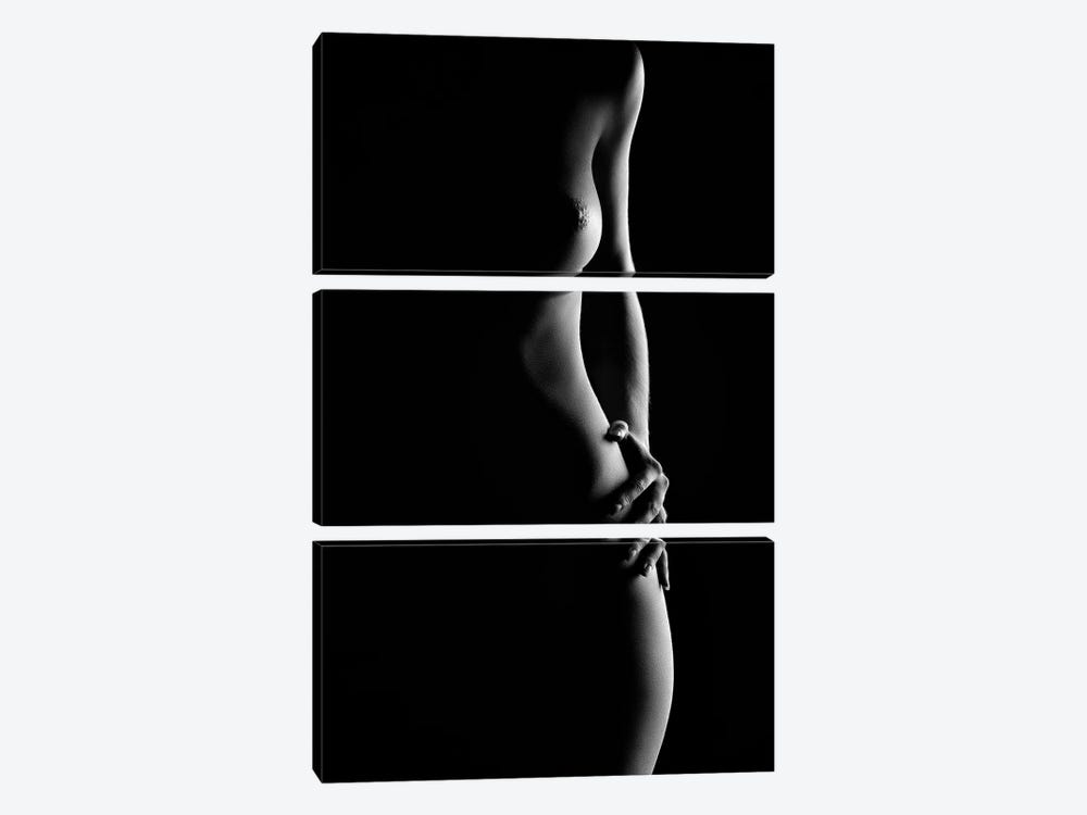 Bodyscape Nude Woman Standing by Johan Swanepoel 3-piece Canvas Print