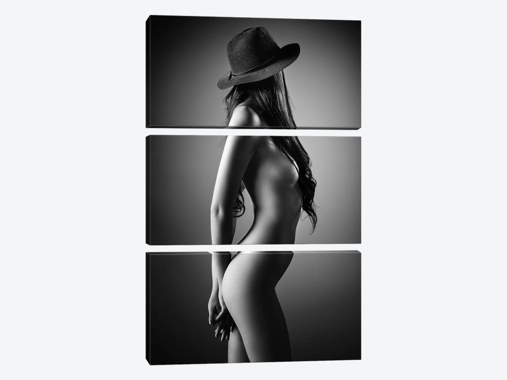 Nude Woman With A Hat by Johan Swanepoel 3-piece Canvas Art
