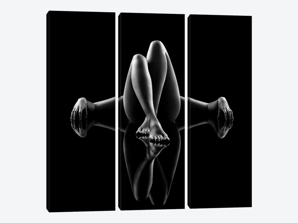 Nude Bodyscape Reflections III by Johan Swanepoel 3-piece Canvas Art