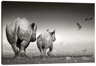 Black Rhino Cow With Calf Canvas Art Print - Rhinoceros Art