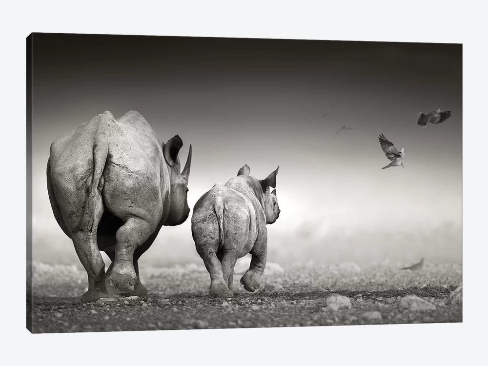 Black Rhino Cow With Calf by Johan Swanepoel 1-piece Canvas Print