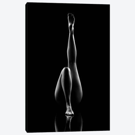 Nude Bodyscape Reflections VII Canvas Print #JSW60} by Johan Swanepoel Canvas Wall Art
