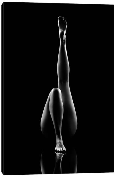 Nude Bodyscape Reflections VII Canvas Art Print - Johan Swanepoel