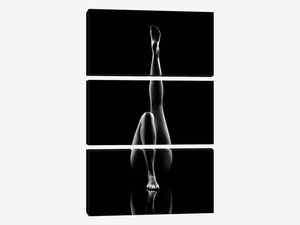 Nude Bodyscape Reflections VII by Johan Swanepoel 3-piece Art Print