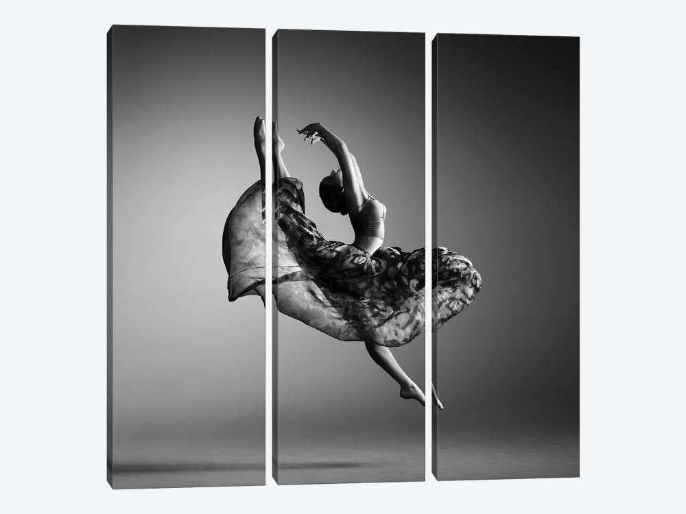 Ballerina Jumping by Johan Swanepoel 3-piece Canvas Print