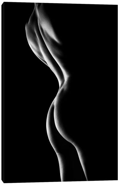 Nude Woman Bodyscape VI Canvas Art Print - Silhouette Art
